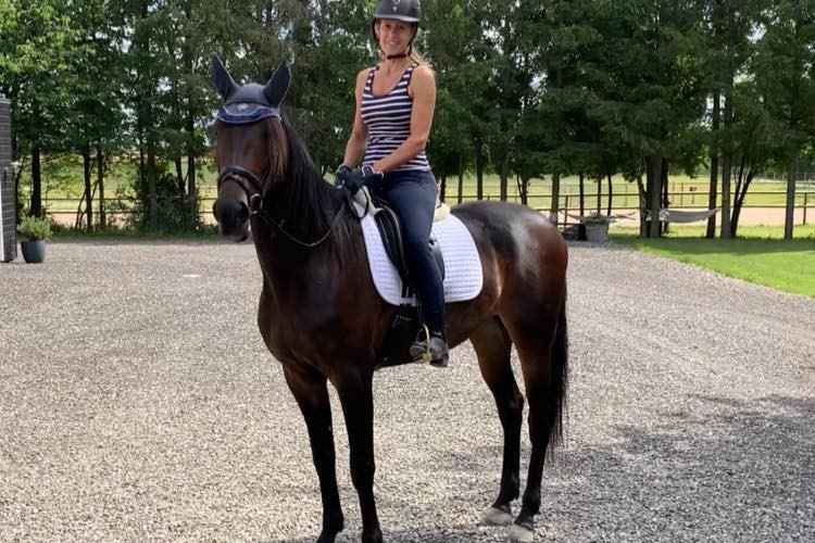 Bornholmsk opdr�t fik Wild Card til Dansk Hoppe Derby