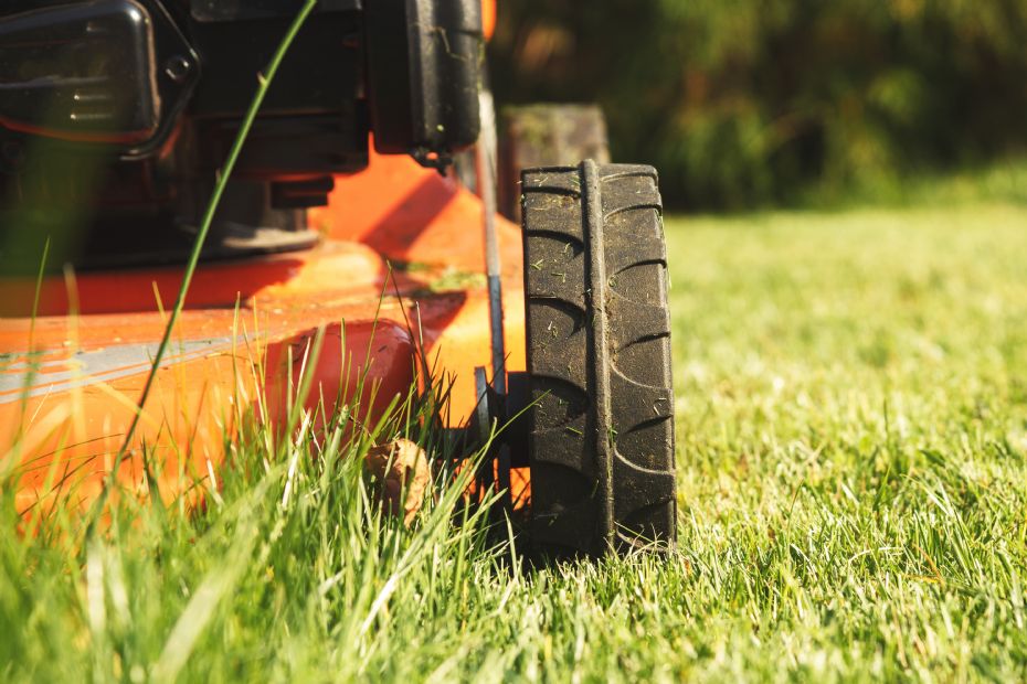 Private m� klippe h�jt gr�s ved indk�rsler