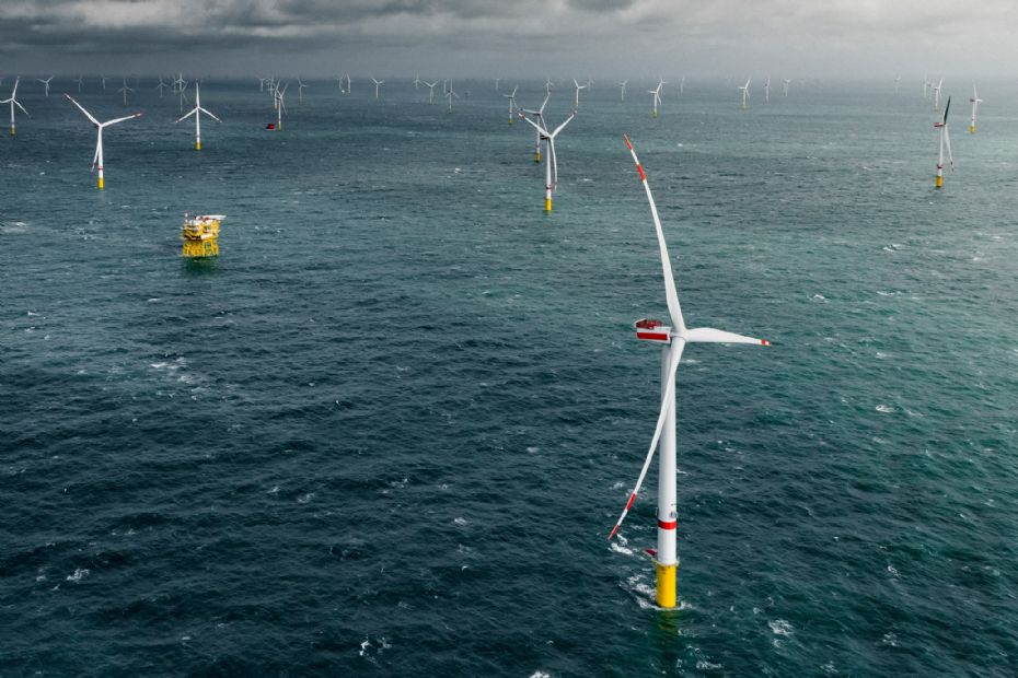 R�nne Havn base for tysk havm�llepark