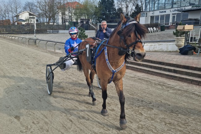 Ponykusk har startet landsholdsrejsen til Finland