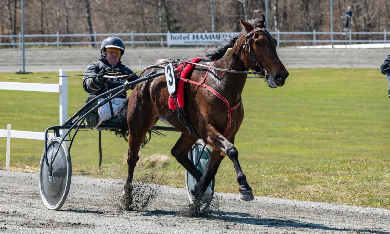 Flere bornholmere til �bningen af derbymeetinget