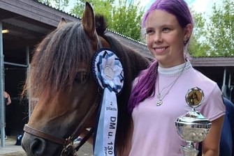 Bornholmsk DM-s�lv p� Fyn