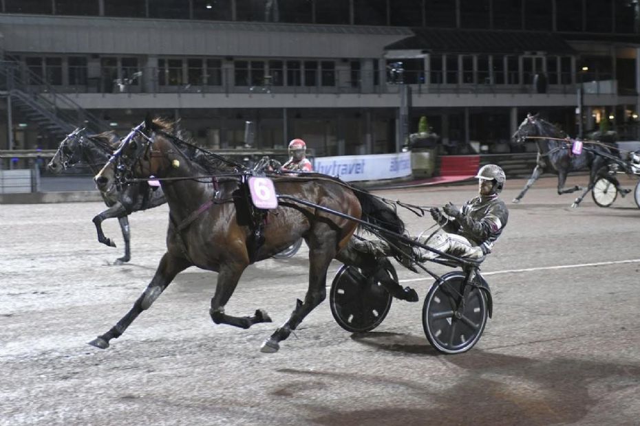 Bornholmer k�ber hest for 370.000 skr.