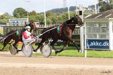 Sjette s�sonsejr til bornholmsk opdr�t