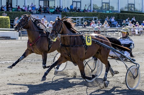 M�ngder med bornholmske isl�t i hovedstaden