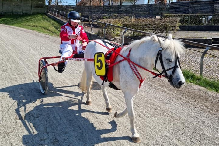 Bornholmsk stortalent til Sydhavs�en