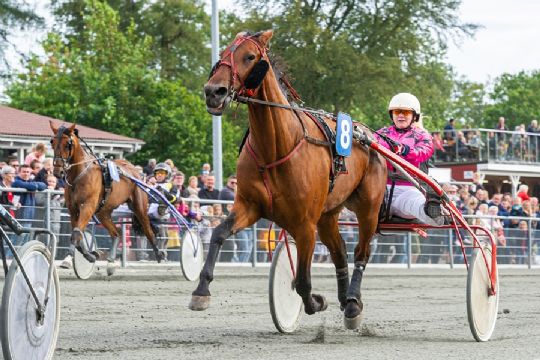 Sp�ndende kommende weekend for travfolk