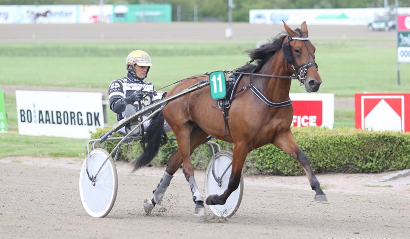 Storsejre til to travheste opdr�ttet af bornholmere