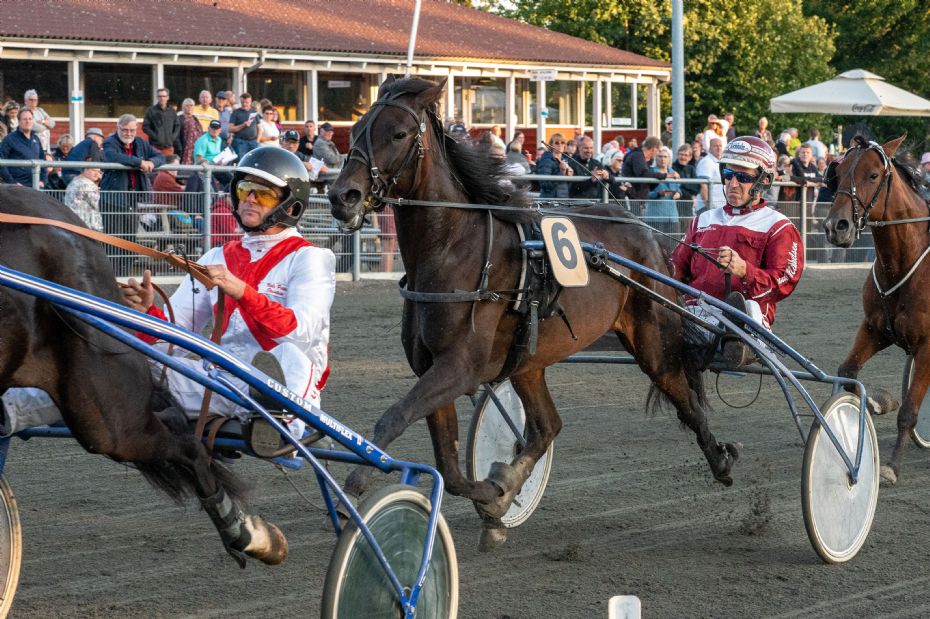 Otte heste klar til 3 �rs Mesterskabet