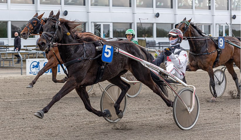 Brog�rd udenfor pengene i Odense