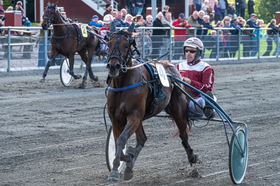 Frank Mikkelsen viser t�nder i tr�nertoppen