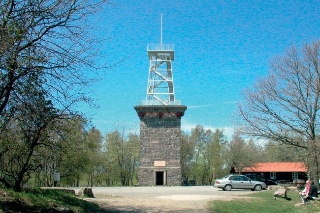 For dyrt at istands�tte Kongemindet