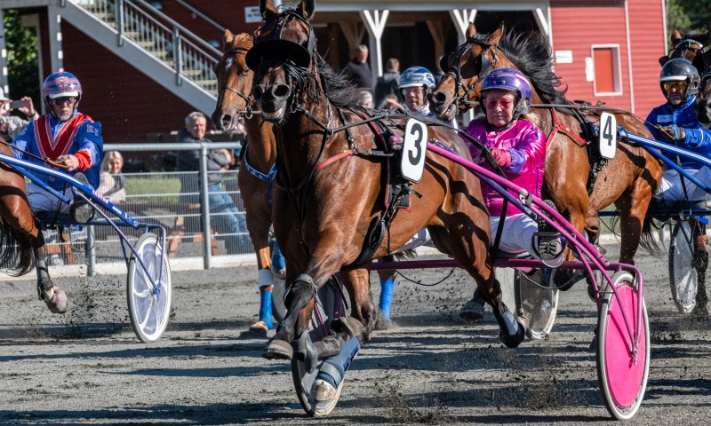 Bornholmerheste p� udebane fremfor hjemmebane