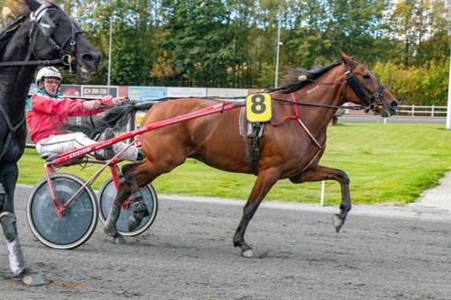 BM-toer debuterer p� dens nye hjemmebane