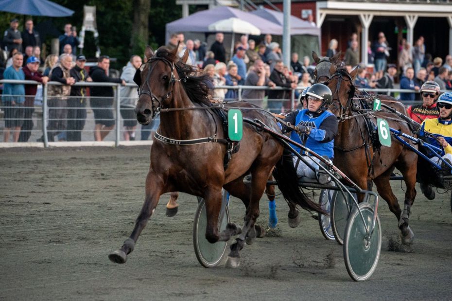 Tre karant�ner og store b�der p� travbanen