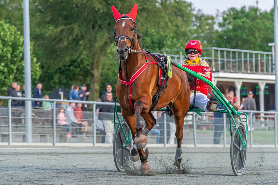 Bornholmerheste p� udebane i stedet for hjemmebane