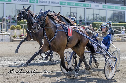 Det kan blive deres bedste hoppe nogensinde