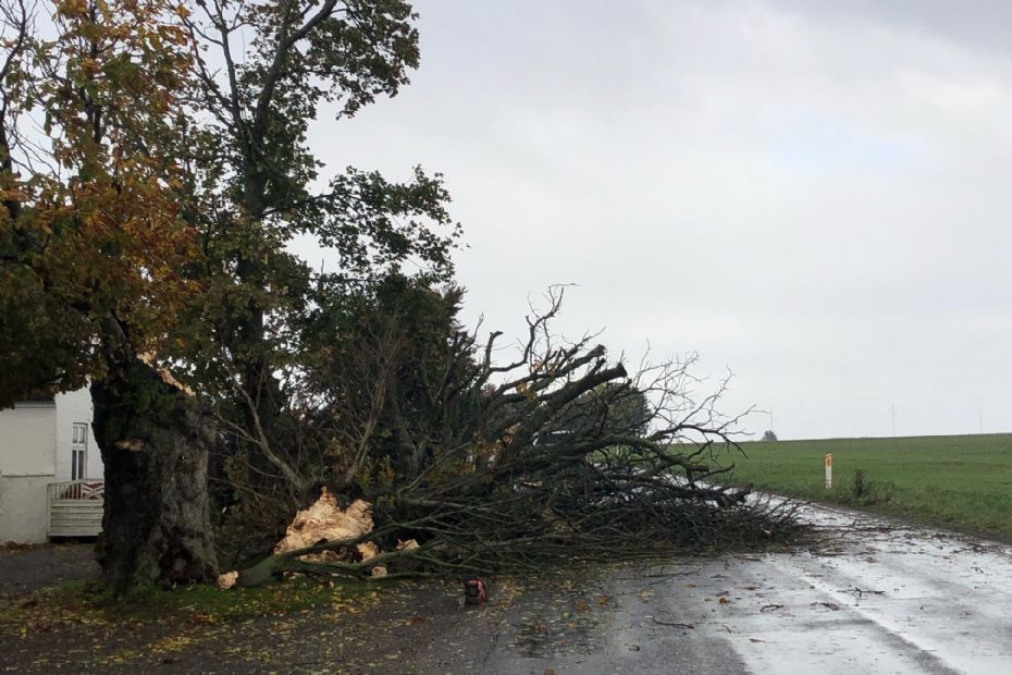 Bl�st for�rsagede skader