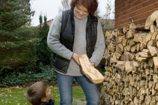 Br�ndet m� gerne t�rre i to �r