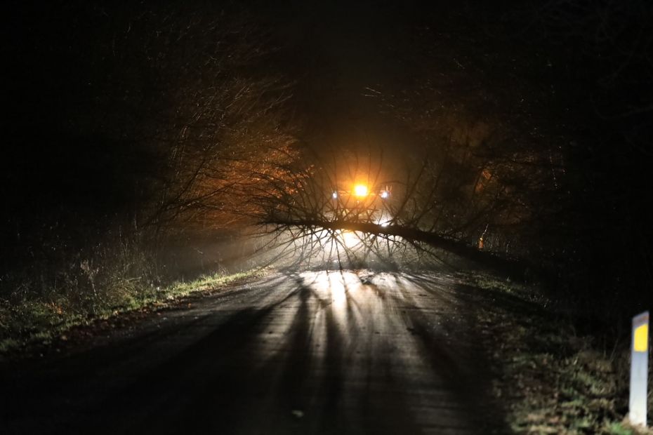 Mange tr�er v�ltet i stormen - og veje sp�rret