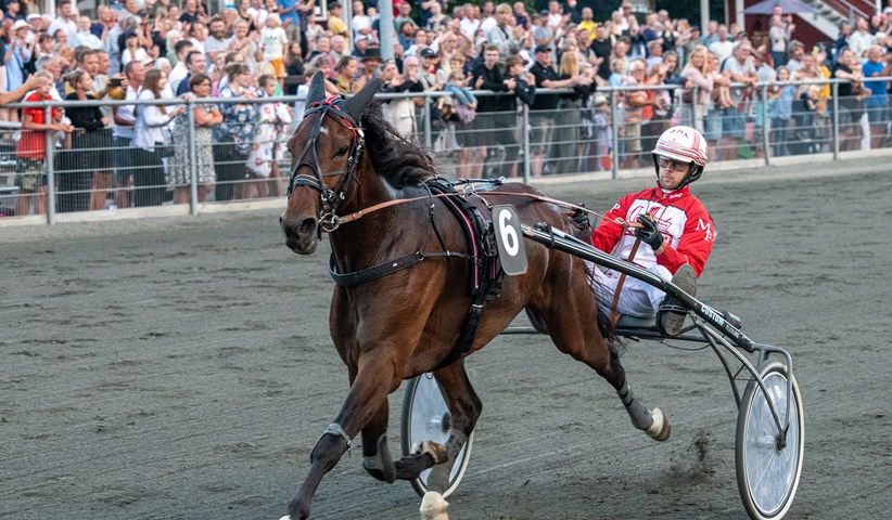 Foxie Hill er eneste oplagte vinder s�ndag