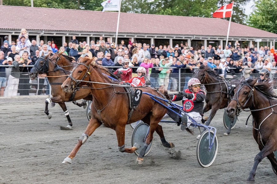 Dygtig hest tr�nerskiftet til hovedstaden