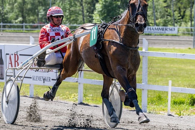 Hurtigtraver bliver ridehest