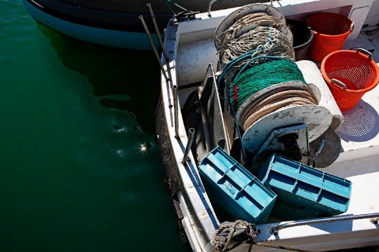 Enighed om fiskeriet i �sters�en for 2023