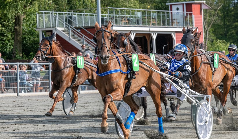 Tror Catja Mosebo vinder Thors Mindel�b