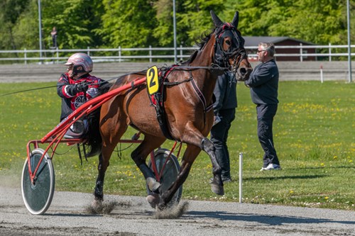 Gommans tilfreds med s�sonen p� travbanen