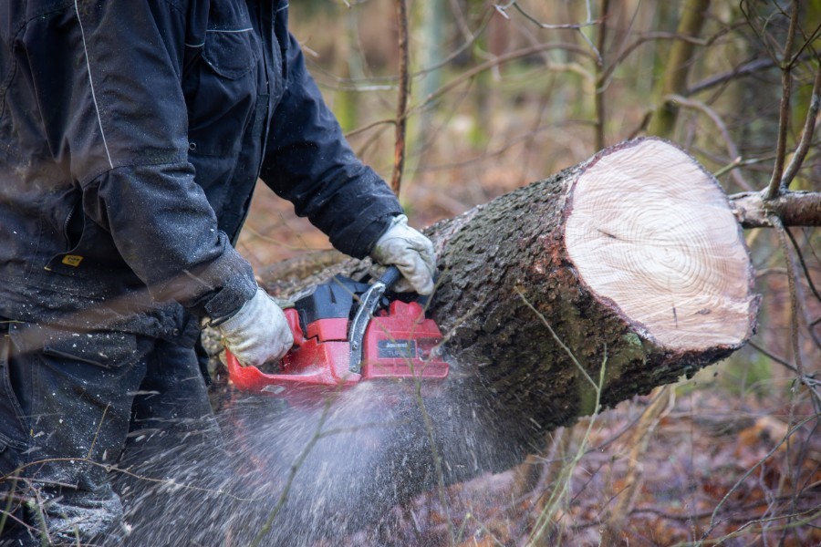 Pas p� ved skovning af br�nde