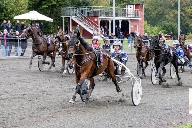 Kun fem heste starter i hurtigklassen