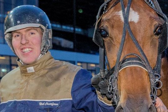 Historisk tiltro til bornholmske heste i Sverige