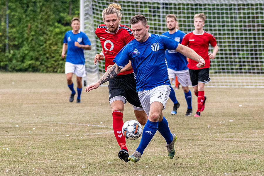 Hasle t�t p� Vigerslev