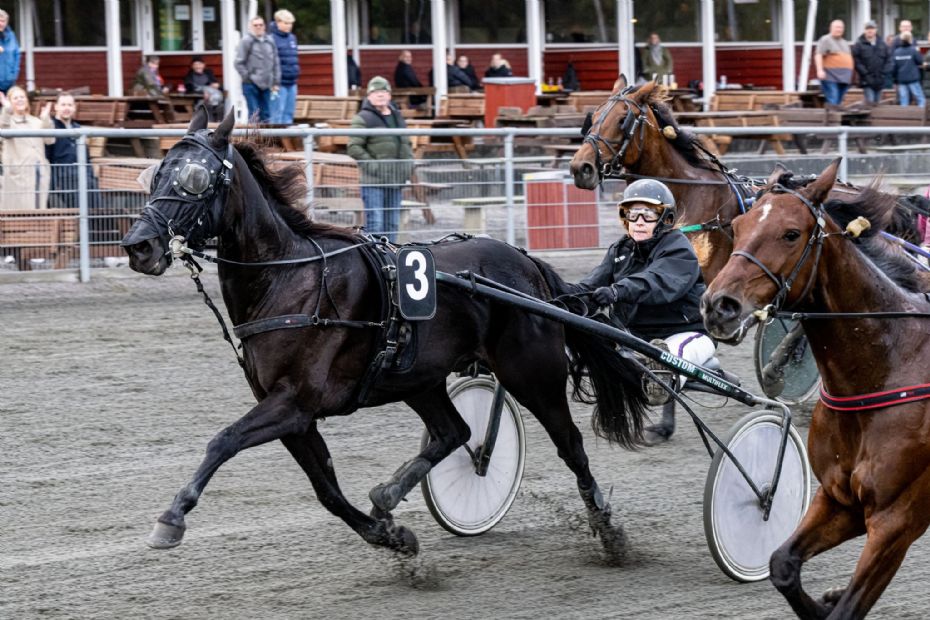 B�deregn p� travbanen