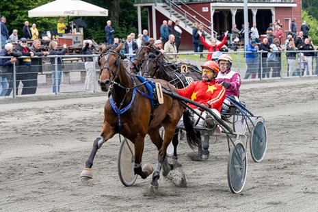 Hoppe p� Bornholm solgt til USA