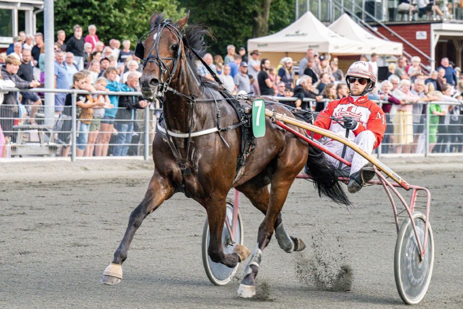 Hest har forladt Stefan Lind-Holm