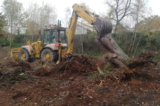 Fortsat v�kst hos anl�gsgartner