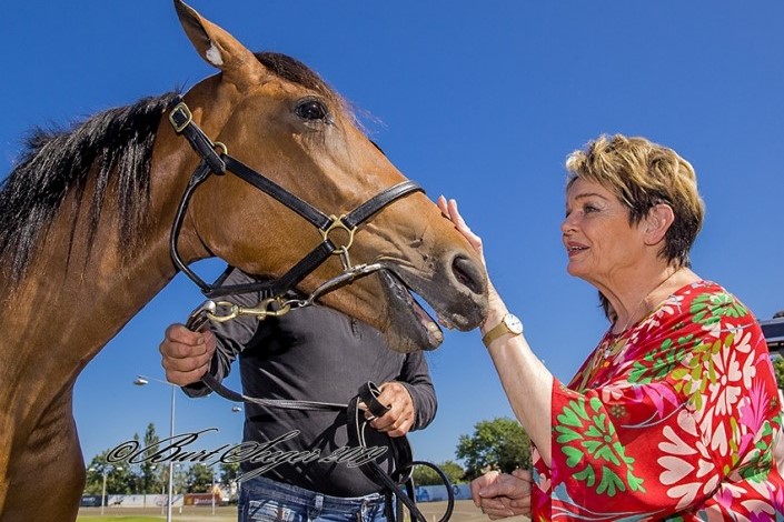 Delejet bornholmsk travhest p� auktion