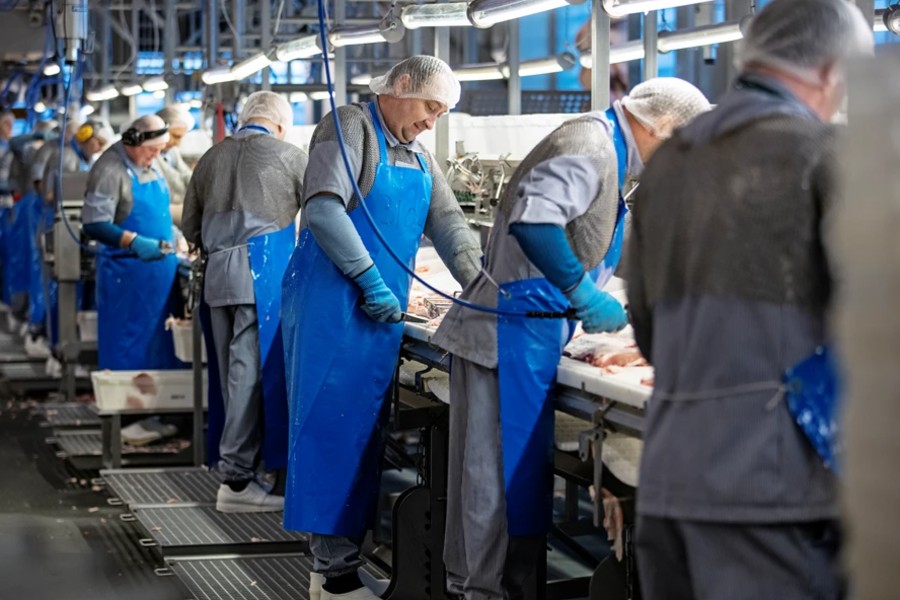 30 tons luksus fl�skesteg fra slagteriet i R�nne