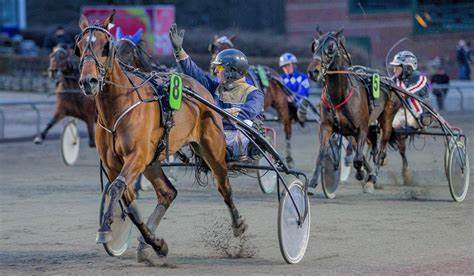 Bornholmskejet travhest ved Lundens s�sonfinale