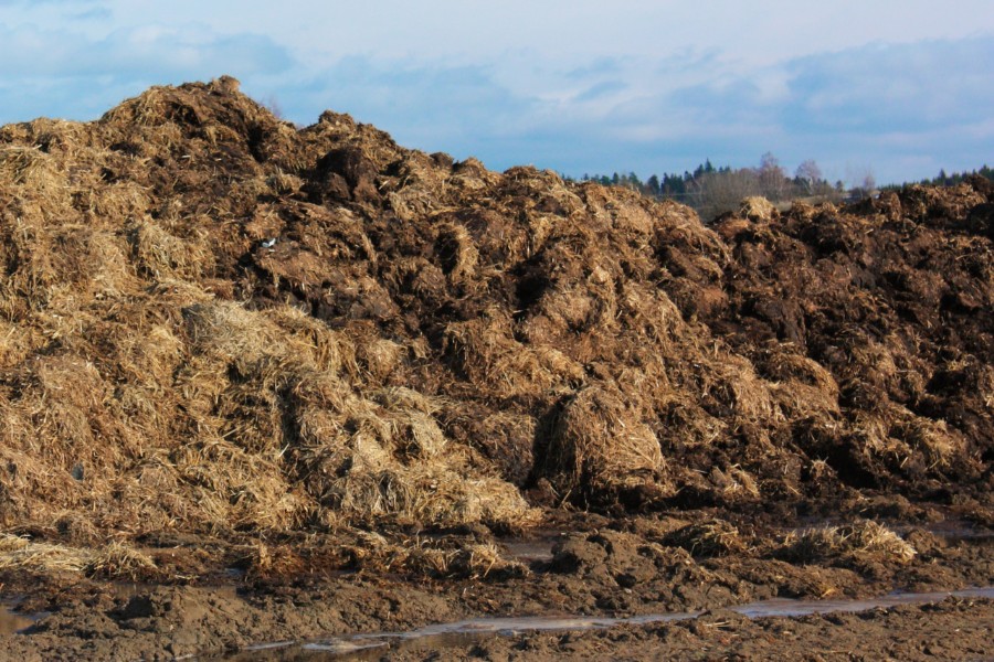 Tilladelse til dyrehold p� H�geg�rd