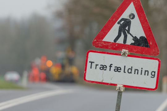 Tr� v�ltede over vej i �stermarie