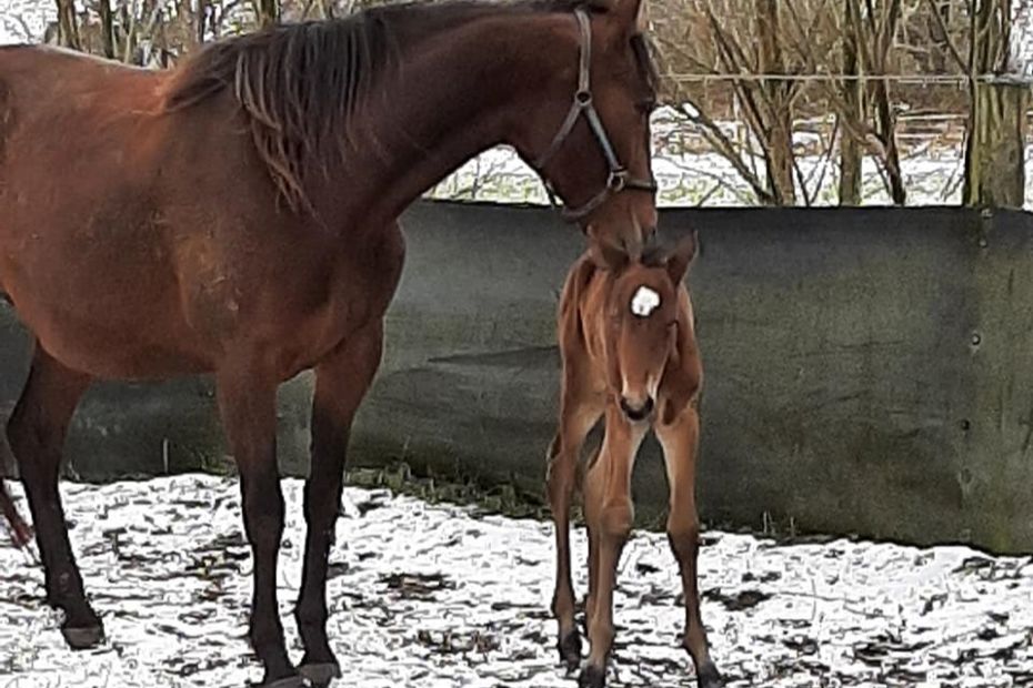 Winner�s Wine far for tredje gang i �r