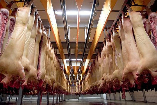 Slagteriet har f�et p�bud om at sikre mod skadedyr