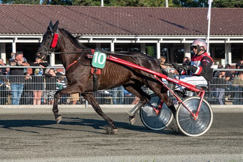 BM-toer i travsport p� sv�r opgave