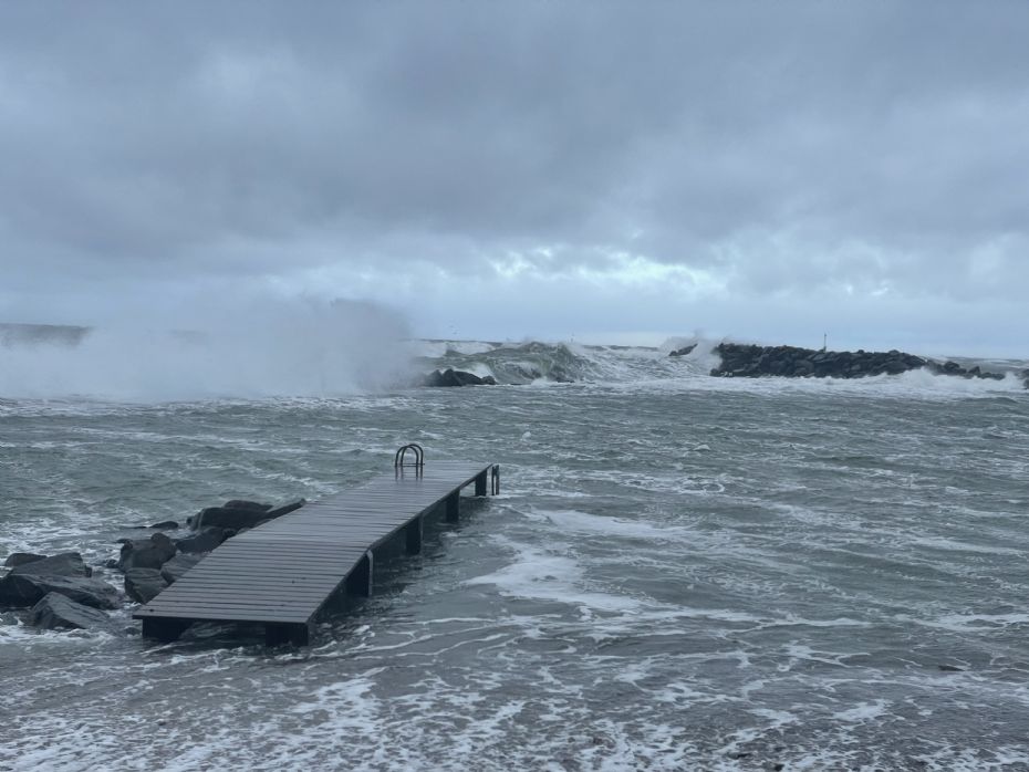 Video: �sters�en udfordrer moler