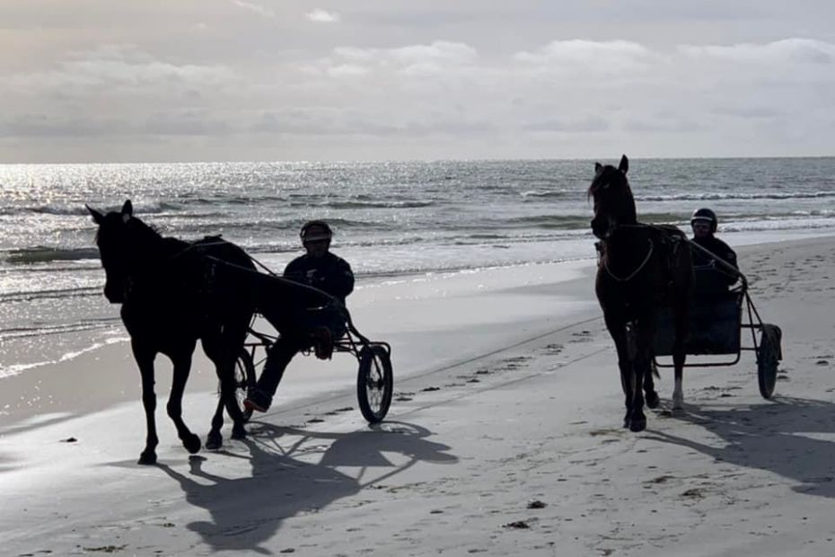 Mange heste n�rmer sig startformen