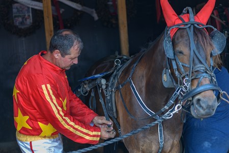 Ungdommen vinder frem hos Betina og Michael