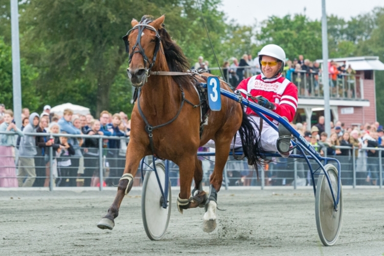 Endnu en travhest k�bt til Bornholm